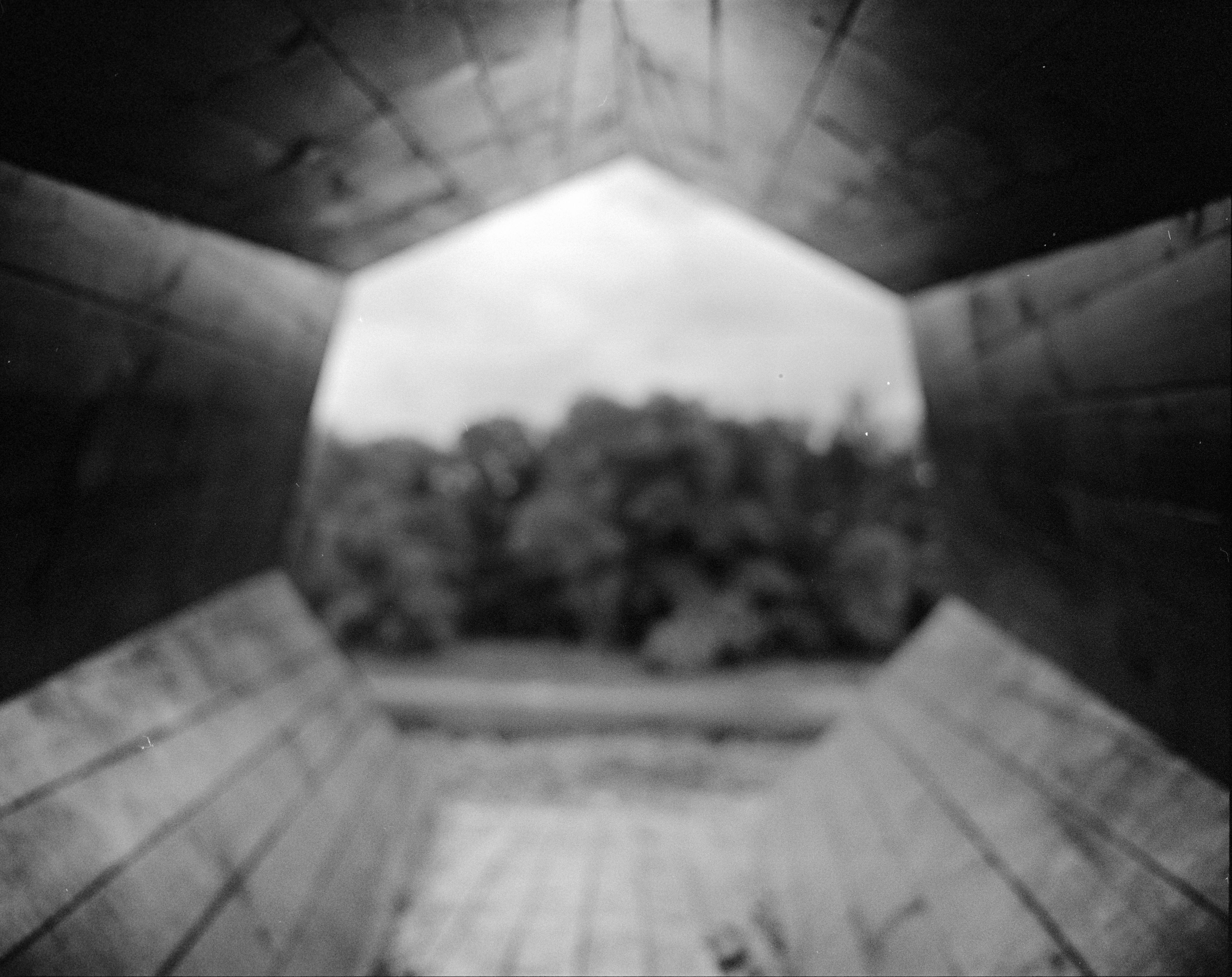 Untitled, from the series Trident